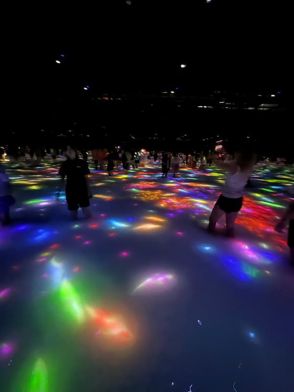Photo from teamLab Planets, Tokyo