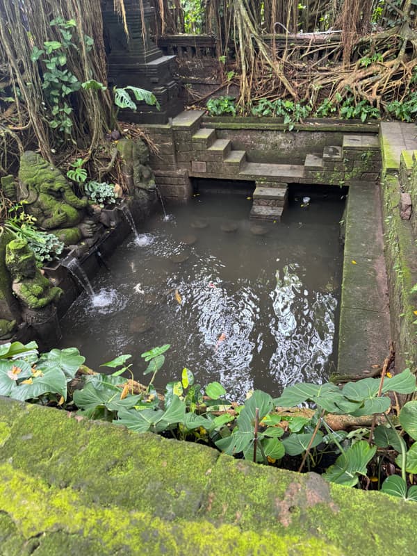 Photo from Sacred Monkey Forest, Ubud